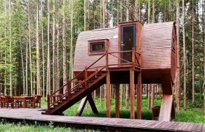 樹屋設計